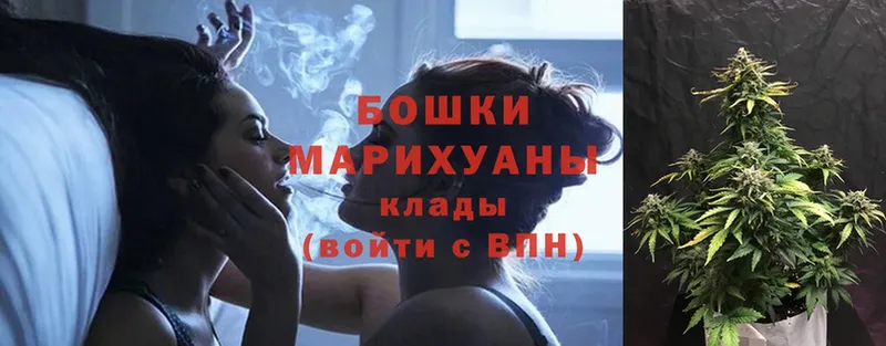 мега ТОР  наркотики  Малоархангельск  Каннабис Amnesia 